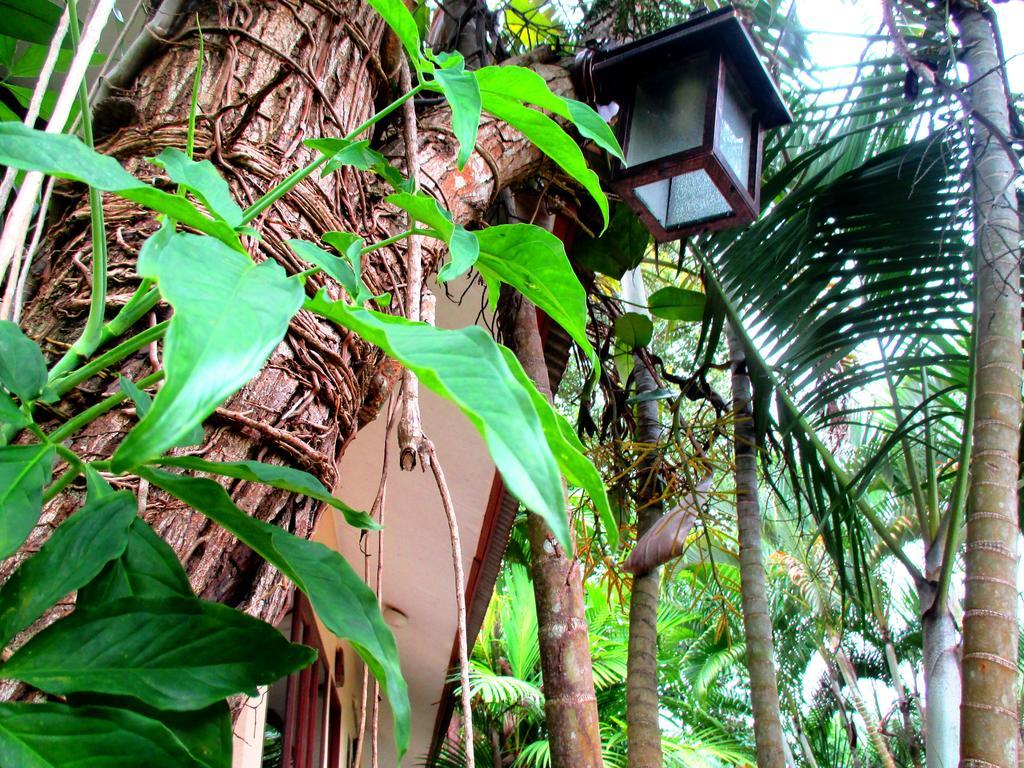 Happiness Resort Ban Khlong Haeng Zewnętrze zdjęcie
